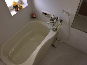 フロイデ波多見 A0202号-12