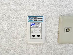 ビバマドレーゆき A201号-12