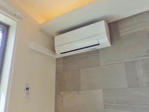 ベレオ　シャトノワール 101号-8