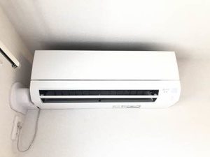 エイラント大福 A0305号-9