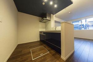 コモンドーレ A0105号-3