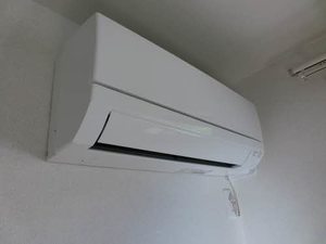 お問合せ番号：2006300-11