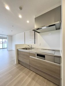 エムズ グアナファト A0201号-3