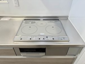 エムズ グアナファト A0201号-4