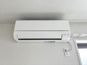 エムズ グアナファト A0201号-11