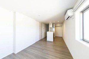 エムズ　グアナファト A0301号-2