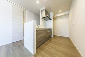 エムズ　グアナファト A0301号-3