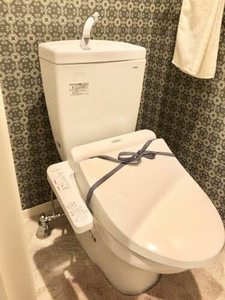 Ｆｏｒｔｕｎａ（フォルトゥーナ） A0103号-6