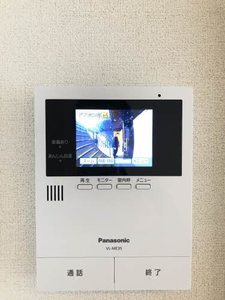 ブエナビスタ A0203号-8