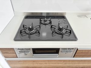 プレジール西元屋 A棟 A0202号-4