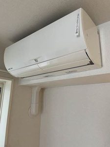 ＭｉＷｉｓｅ（ミワイズ） A0201号-11