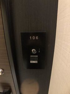 ヴィステリオ　プレミア A0106号-5