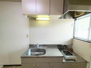 田園ハイツ A0106号-3