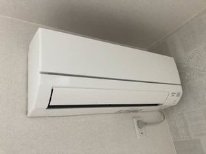 マグリット A0101号-9