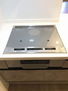 シャーメゾンクオリスタ A0102号-11