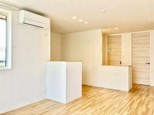 Little Wing A0302号-3