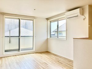 Little Wing A0302号-4