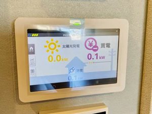 クリソベリル A0302号-2