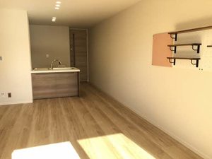 プレミアス 203号-2