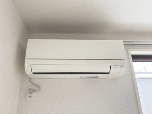 カシュカシュ A0201号-11