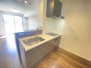 ルミエール津森 202号-3