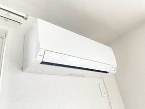 Ｌａ　ｐｅｉｎｔｕｒｅ A0205号-9