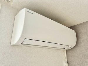 ヴィーロ キャピターレ A0311号-11