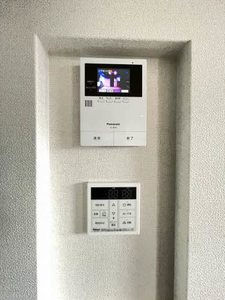 ピン・ルージュ A0102号-7