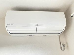 ピン・ルージュ A0102号-14