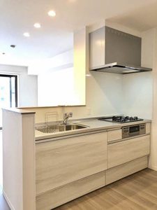 ロイヤルウイング A0202号-3