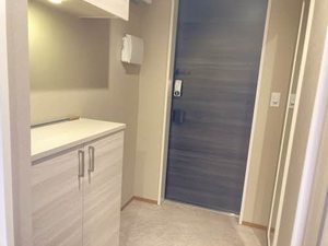 ベレオガーデンズＨａｎａ 301号-11