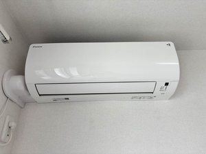 トリフォリア A0101号-11