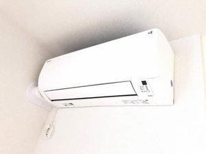 トリフォリア A0105号-9