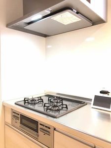 トリフォリア A0105号-10