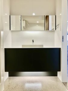 シャーメゾンキャメリア A0305号-9