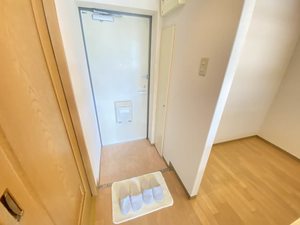 カーサ・ウィル 201号-10