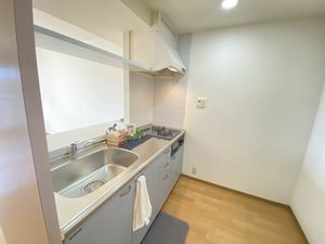 カーサ・ウィル 205号-3