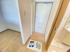 カーサ・ウィル 205号-10