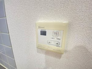 カーサ・ウィル 302号-15