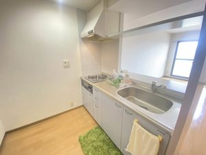 カーサ・ウィル 401号-2