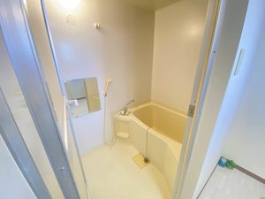 カーサ・ウィル 401号-7