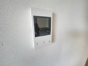 カーサ・ウィル 401号-11