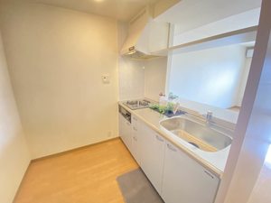 カーサ・ウィル 403号-3