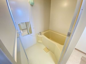 カーサ・ウィル 403号-7