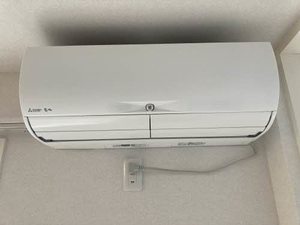 フィーノ A0101号-15