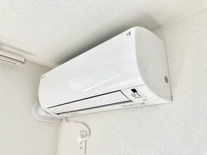 リュミエール A0205号-11
