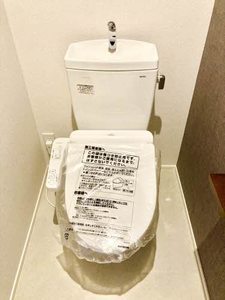 リュミエール A0301号-10