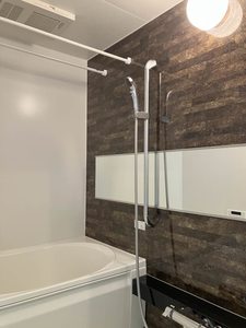 Ｃａｓａ　Ａｍｂｉｅｒａ 0201号-8