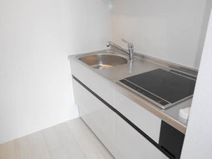 シャーメゾン　コウジマチ A0202号-3