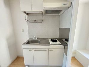 ディアスYS A0102号-3